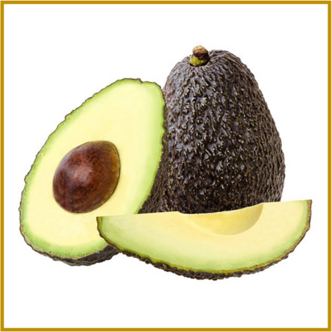 AVOCADO - PLANT