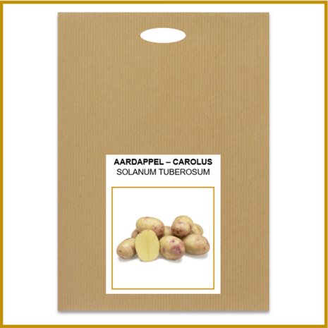 AARDAPPEL - CAROLUS - POOTKNOL