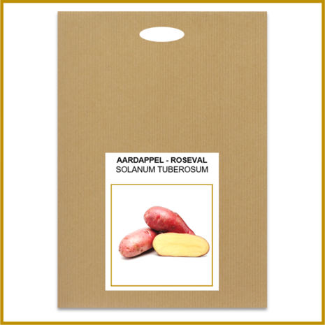 AARDAPPEL - ROSEVAL - POOTKNOL