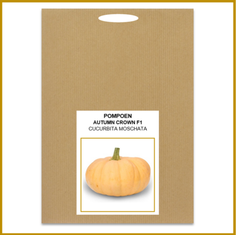 POMPOEN - AUTUMN CROWN F1 - ZADEN