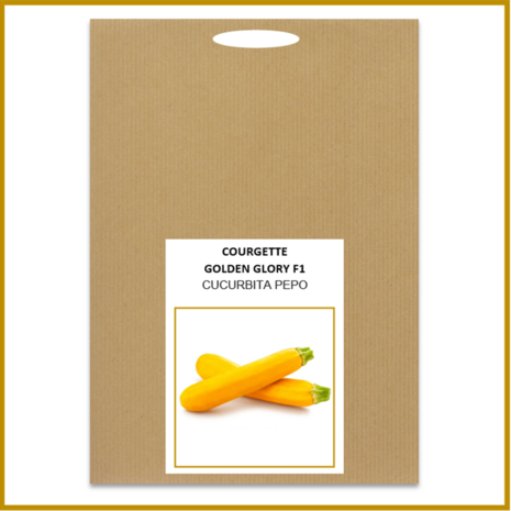 COURGETTE - GOLDEN GLORY F1 - ZADEN