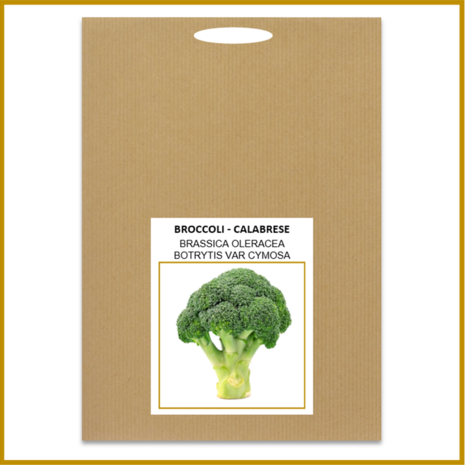 BROCCOLI - CALABRESE - ZADEN