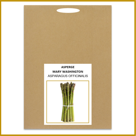 ASPERGE - MARY WASHINGTON - ZADEN