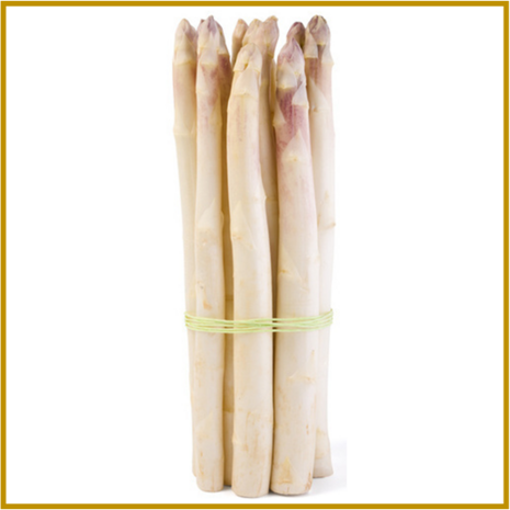 ASPERGE - ARGENTEUIL - ZADEN