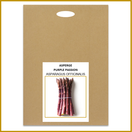 ASPERGE - PURPLE PASSION - ZADEN