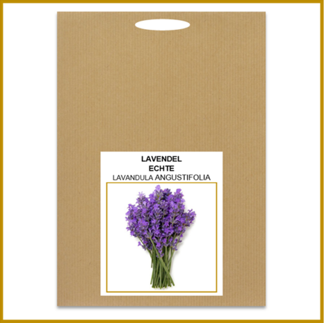 LAVENDEL